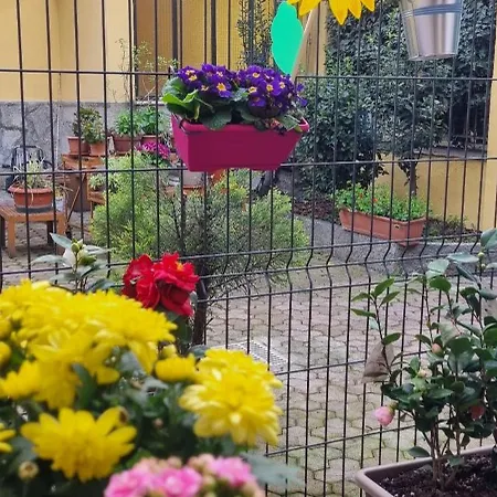 Carta Da Zucchero Guest house